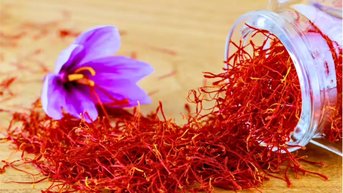 জাফরান এর দাম বাংলাদেশে ২০২৫।