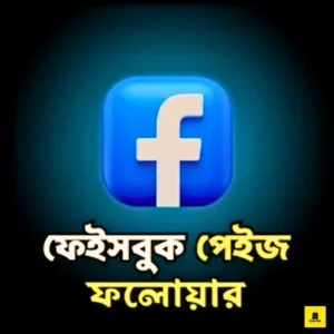 Facebook Page Followers buy BD