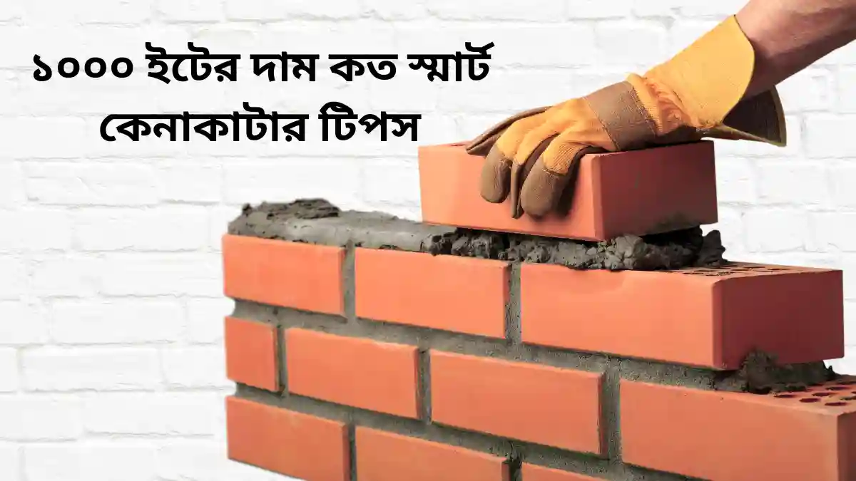 ১০০০ ইটের দাম কত স্মার্ট কেনাকাটার টিপস