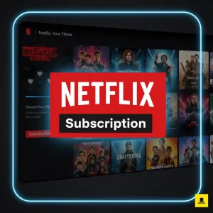 Netflix Subscription