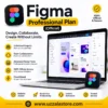 Figma Professional Plan (Official)